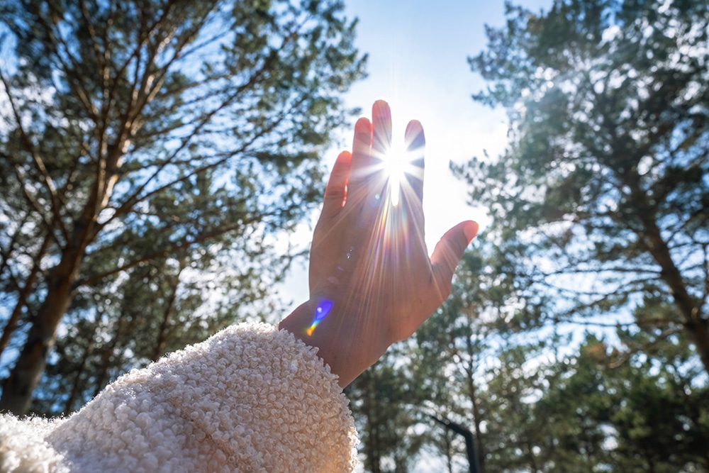 Hand reaching towards sunlight amidst tall trees in forest.